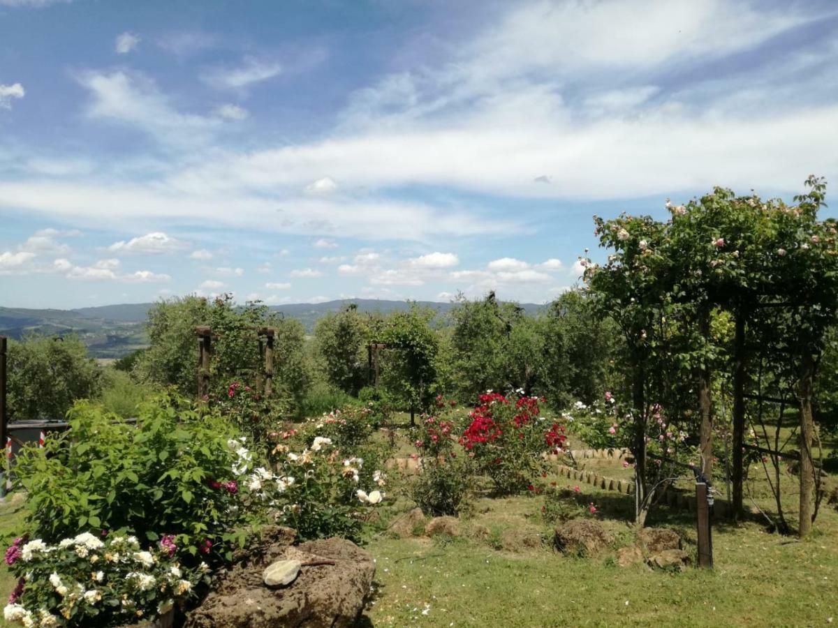 ホテル Orvieto Rocca Fiorita エクステリア 写真