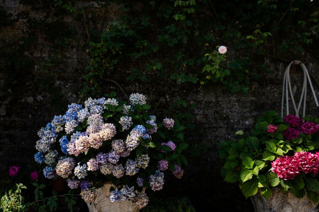 ホテル Orvieto Rocca Fiorita エクステリア 写真