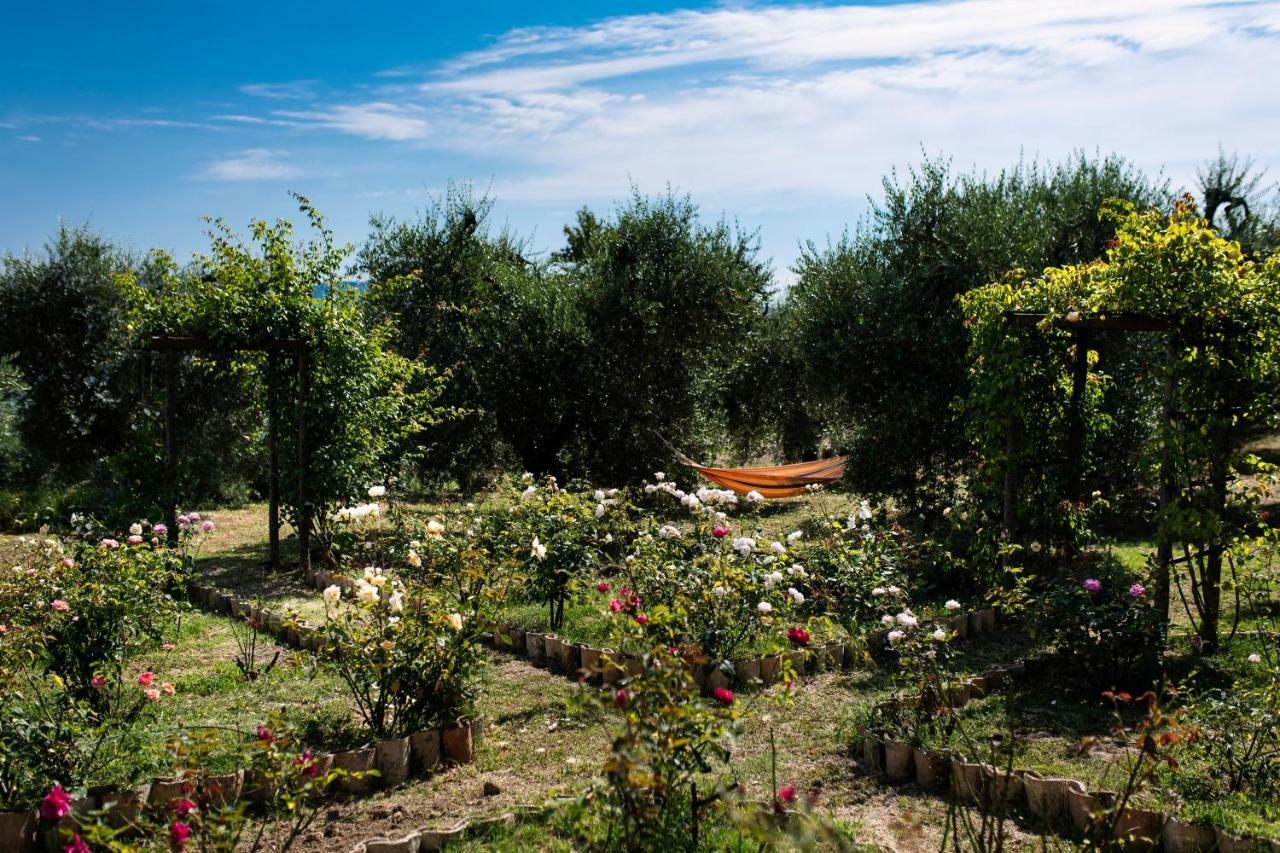 ホテル Orvieto Rocca Fiorita エクステリア 写真